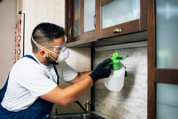 Best Pest Prevention Services  in Van Horn, TX