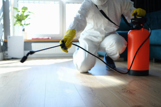 Best Affordable Pest Control Services  in Van Horn, TX