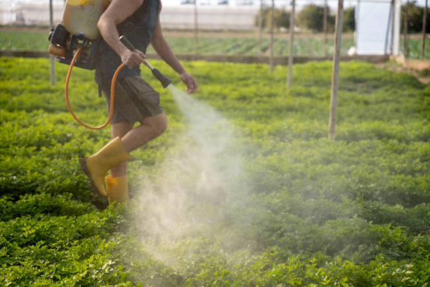 Best Pest Prevention Services  in Van Horn, TX